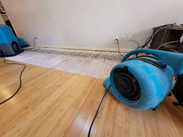 Professional Flood Damage Cleanup technician working in Brandon, MS